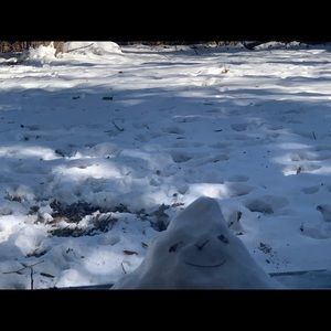 Meet your Posher, Gabriela